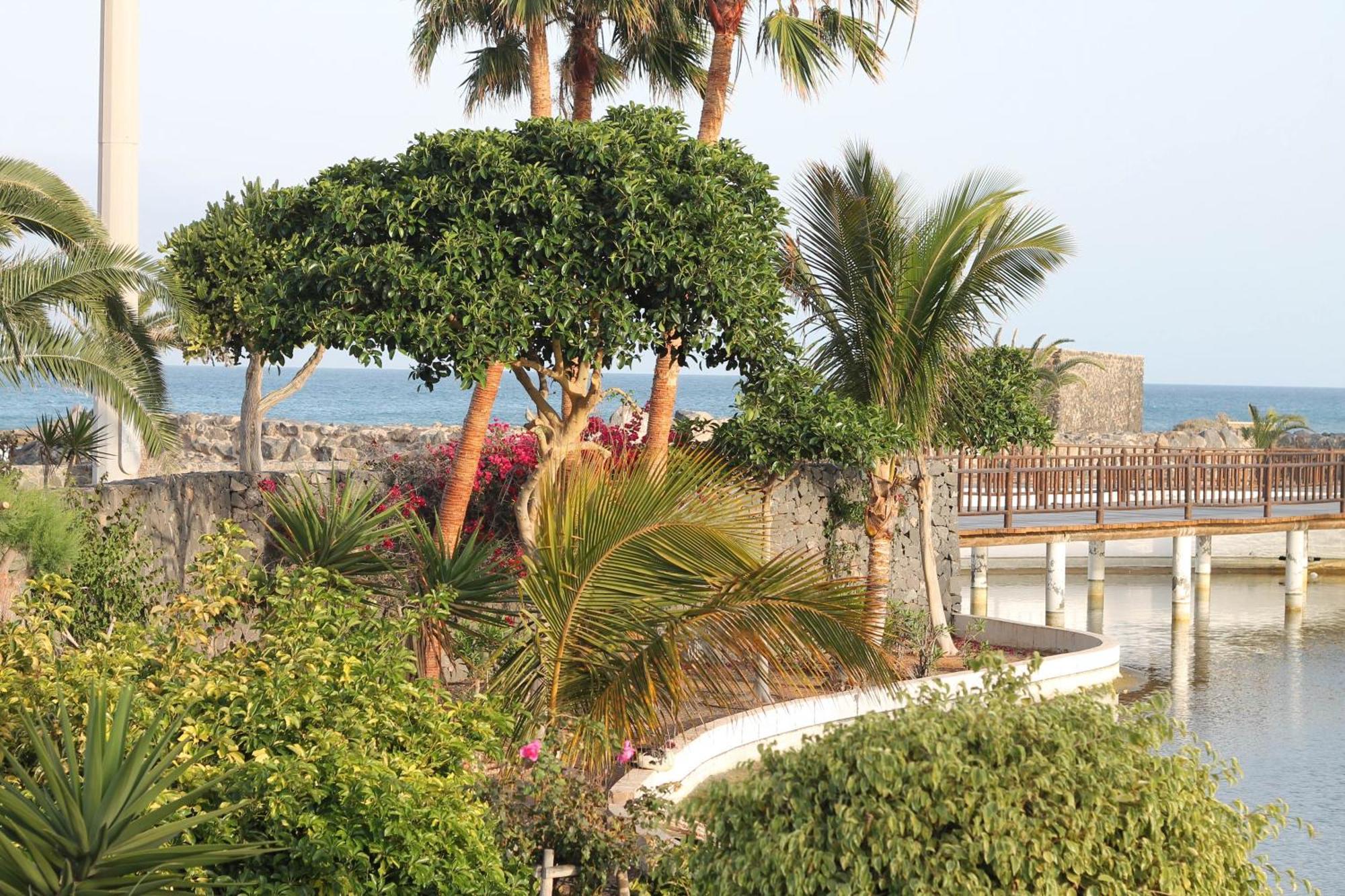 Maison Vue Mer Avec Piscine Caleta De Fuste Dış mekan fotoğraf